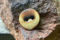 BurntAntler