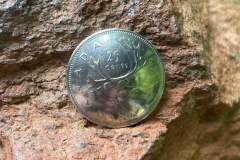 CanadianQuarter