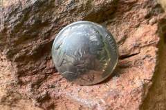 IndianHeadNickel
