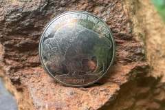 SilverDollar