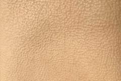 SandBuffalo
