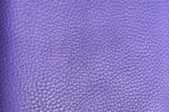 PurpleBull
