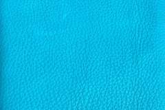 TurquoiseBull