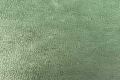 15-Forest-Green