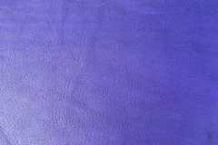 16-Purple