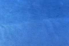 17-Royal-Blue